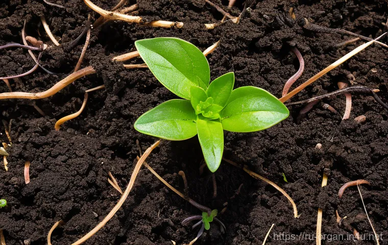 유기농업 실기 시험 - **"A resolute organic farmer, mid-40s, with kind but determined eyes, wearing practical work overall...