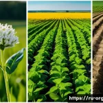 유기농업 현장 교육 - Here are three detailed image prompts in English, adhering to all the specified guidelines, and draw...