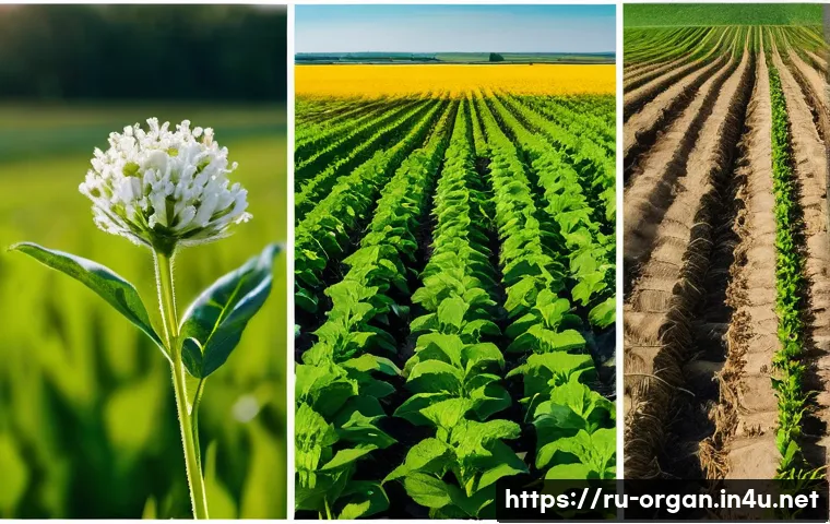 유기농업 현장 교육 - Here are three detailed image prompts in English, adhering to all the specified guidelines, and draw...