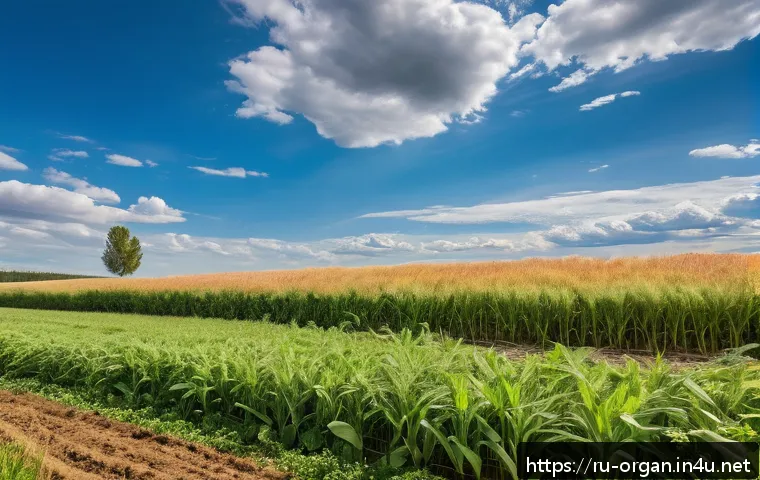 유기농업 전문가의 업무 사례 - A serene organic farm landscape in central Russia during late summer, featuring healthy oat and barl...